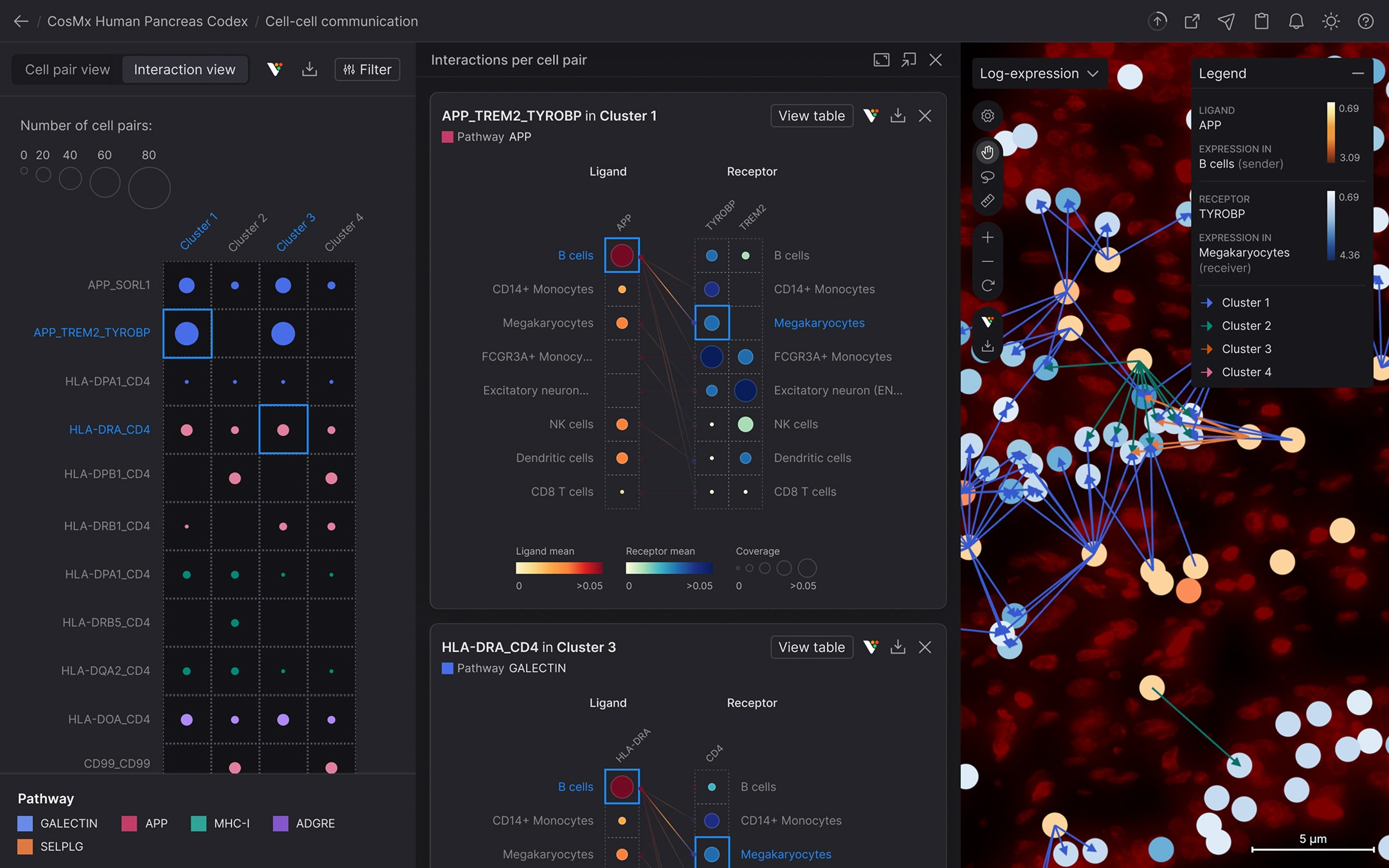 SpatialX cover image