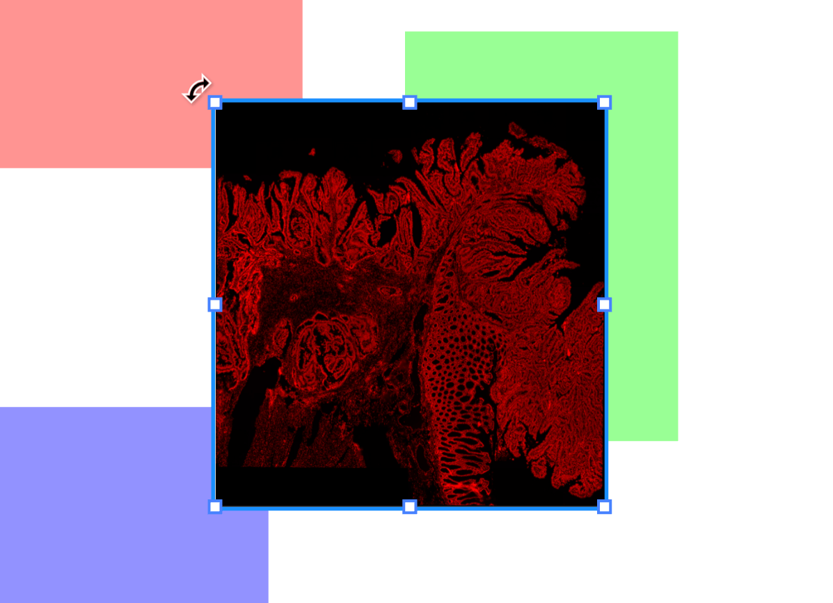 Post Content Image